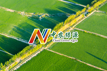 中农绿源中文网站建设升级开发完成
